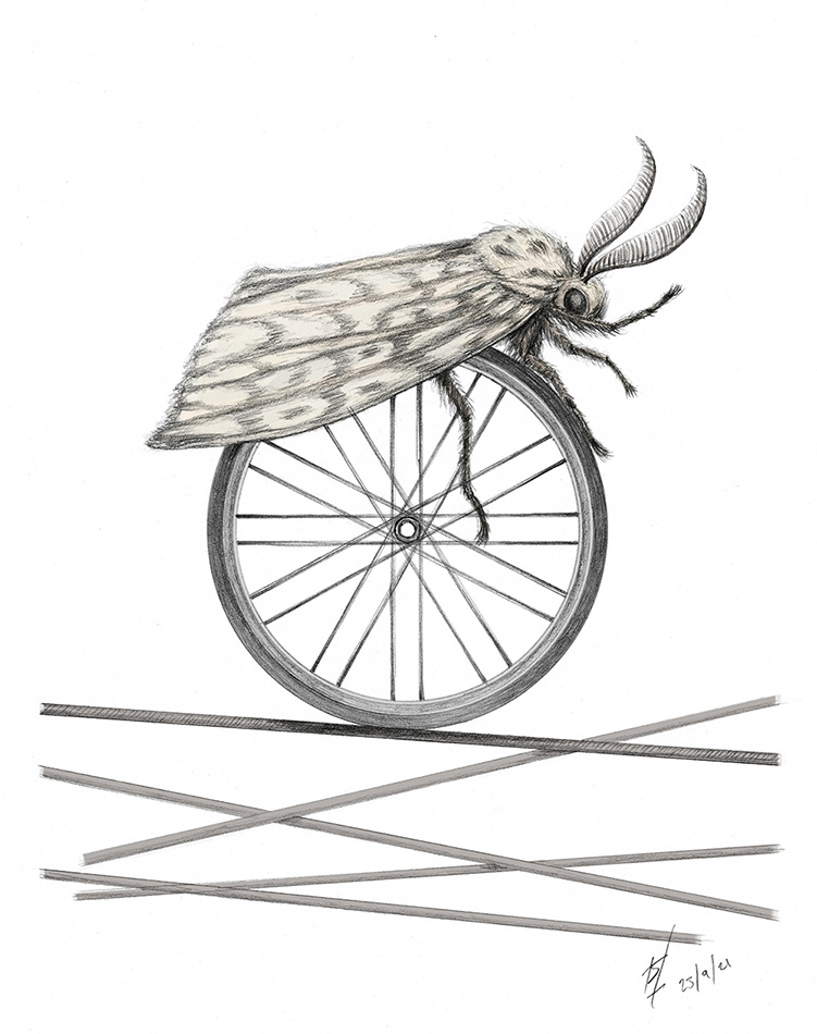moth riding on a unicycle