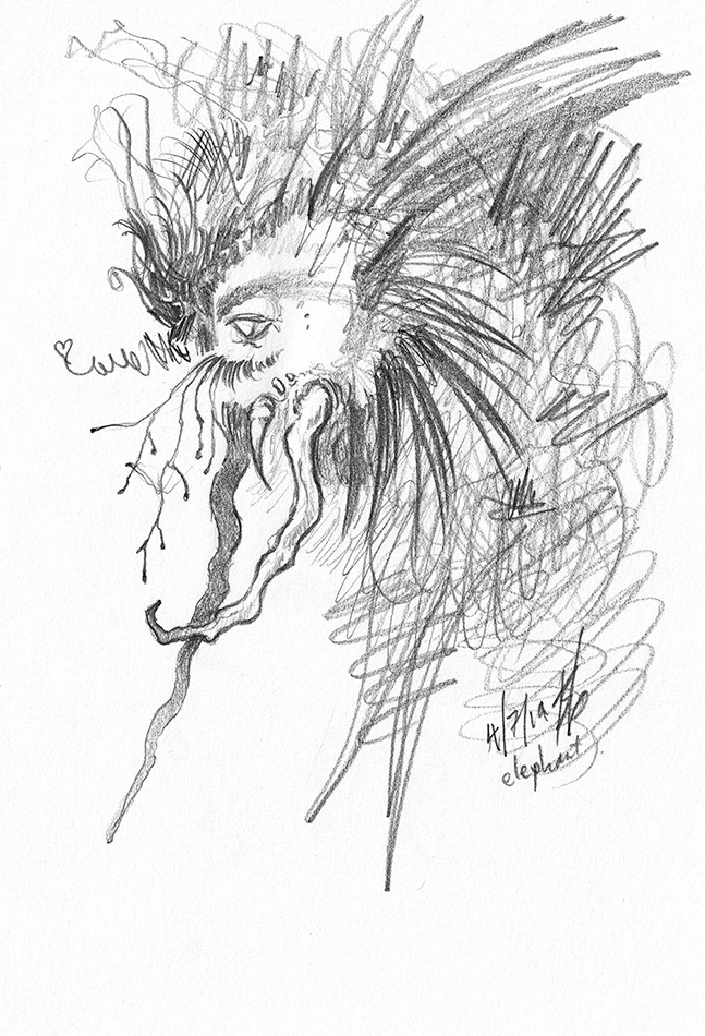 hairy monster with tusks