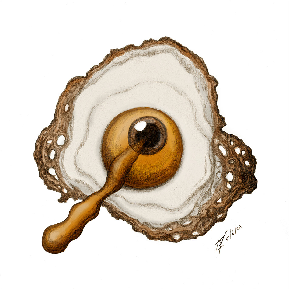 fried egg with an eye at the centre