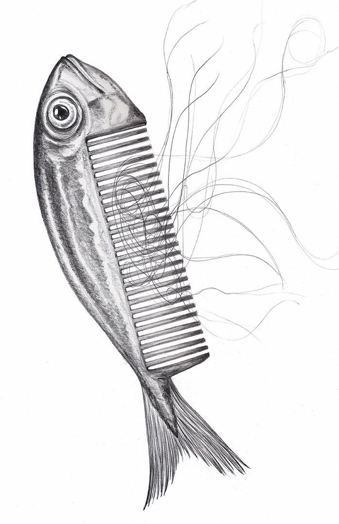fish hair comb