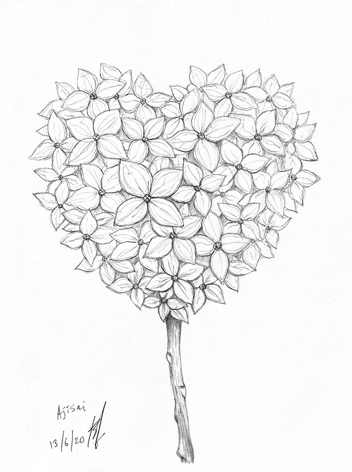 hydrangea arranged into a heart shape