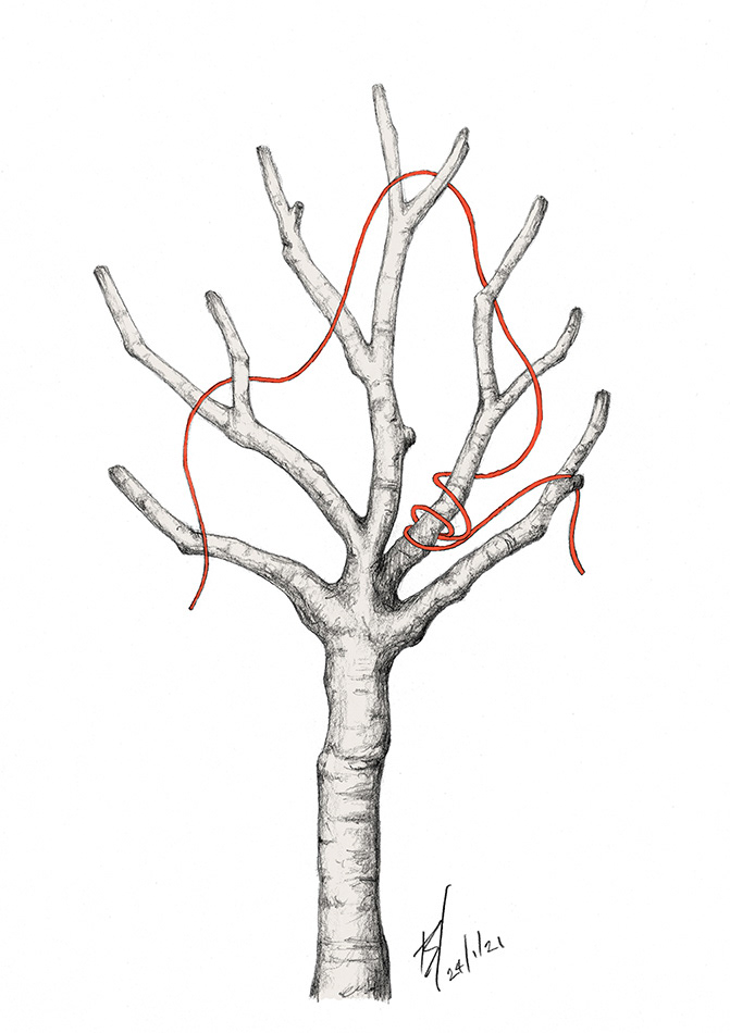 skeleton tree with red thread tied around its branches