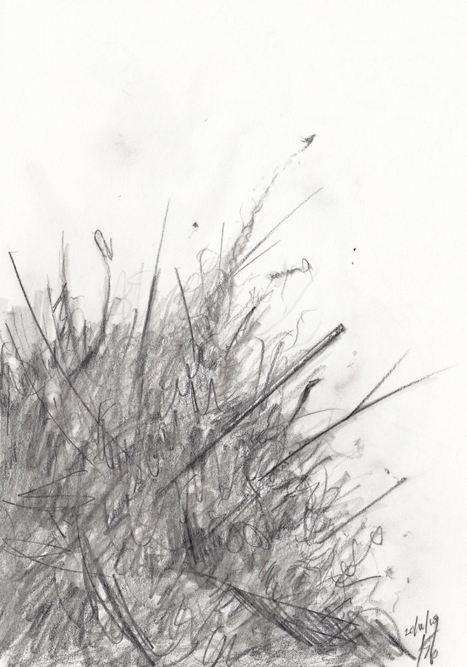 large nest with bird flying out