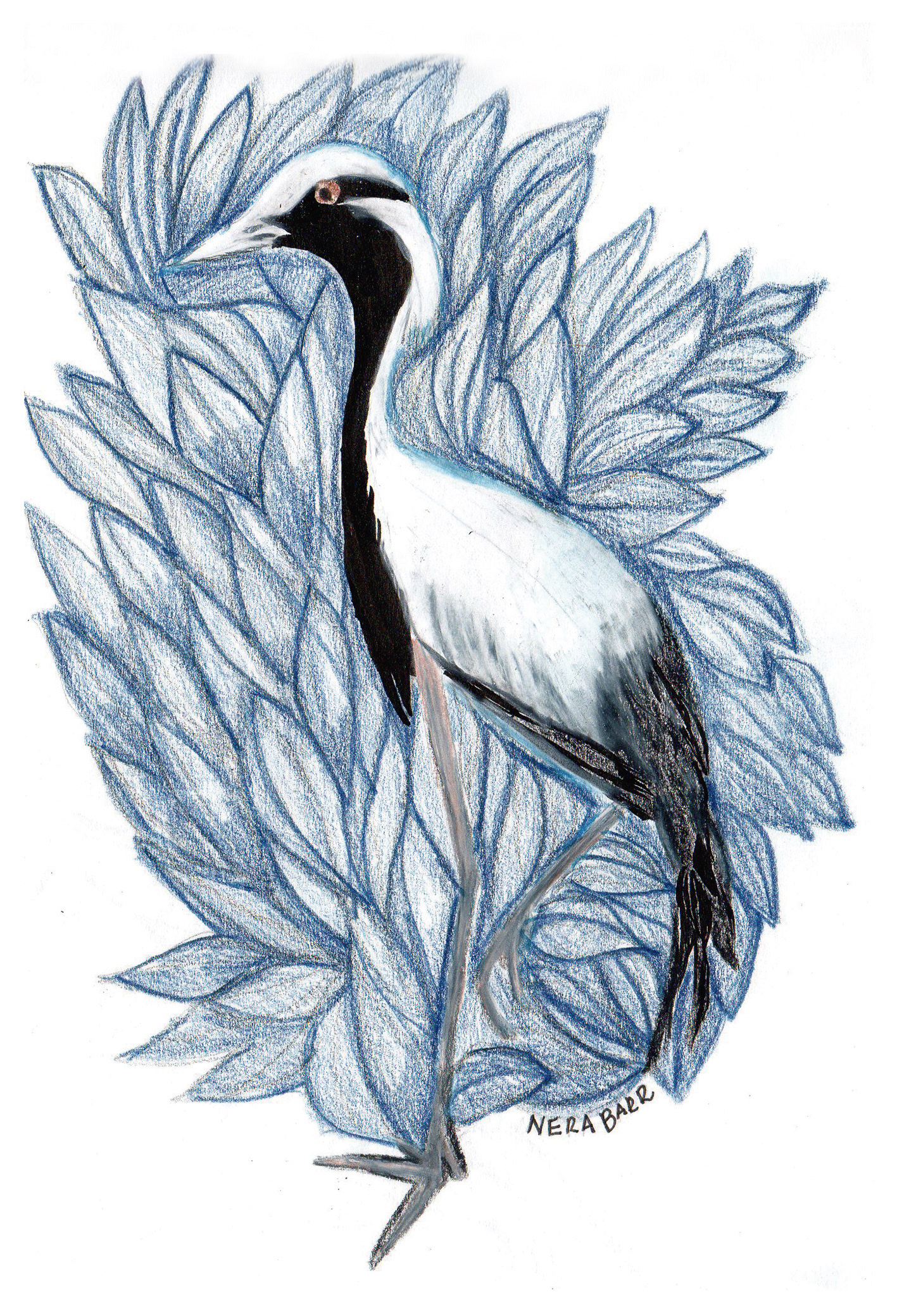 Grulla