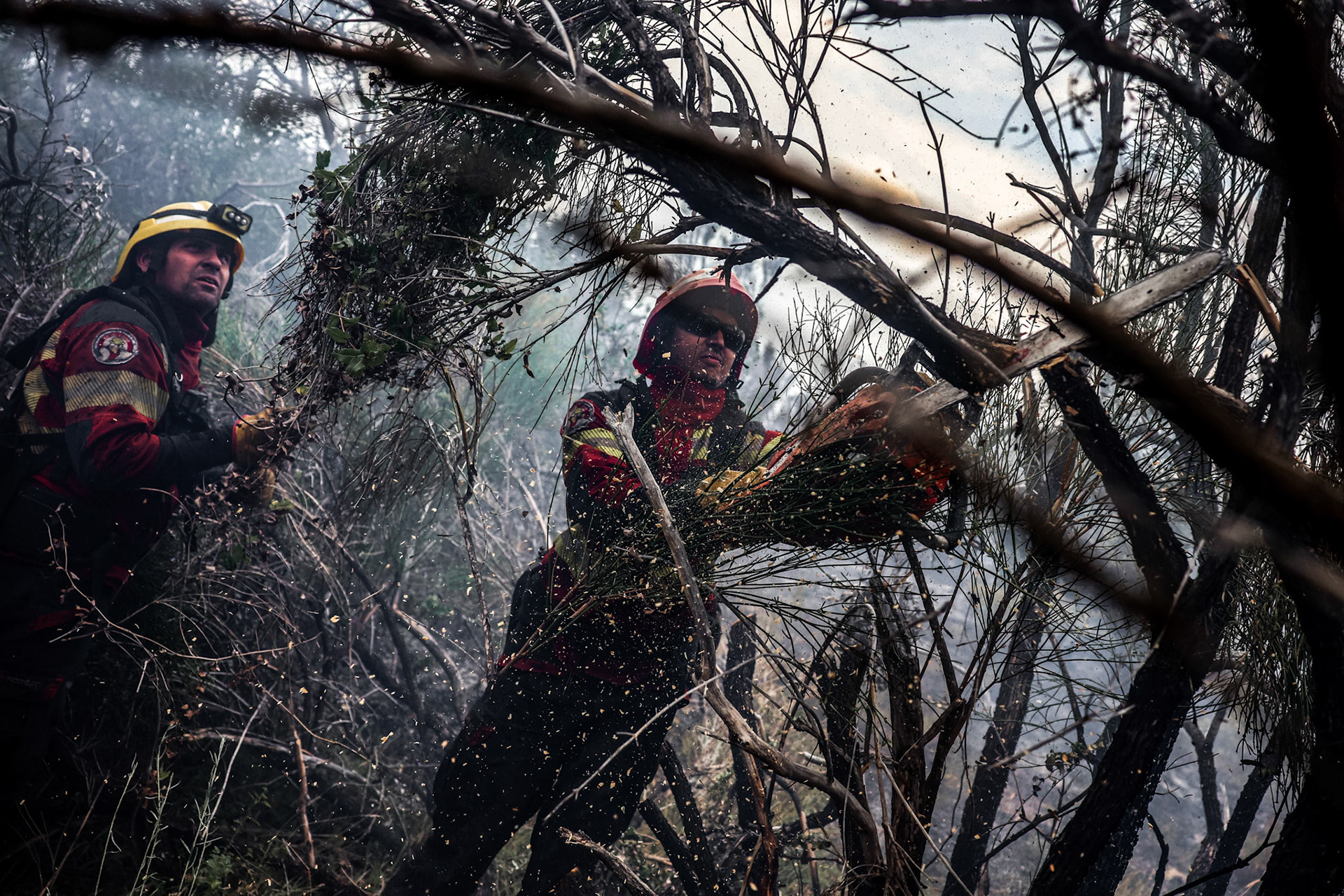 CHUBUT, ARGENTINA – FEBRUARY 2, 2025Provincial wildfire brigades battle the flames with a chainsaw to prevent the fire front from reaching the highway, in Chubut, Argentina, on February 2, 2025.Wildfires in the province of Chubut, particularly in areas such as Los Alerces and around Puerto Patriada, have already consumed more than 40,000 hectares, prompting authorities to step up firefighting and mitigation efforts.