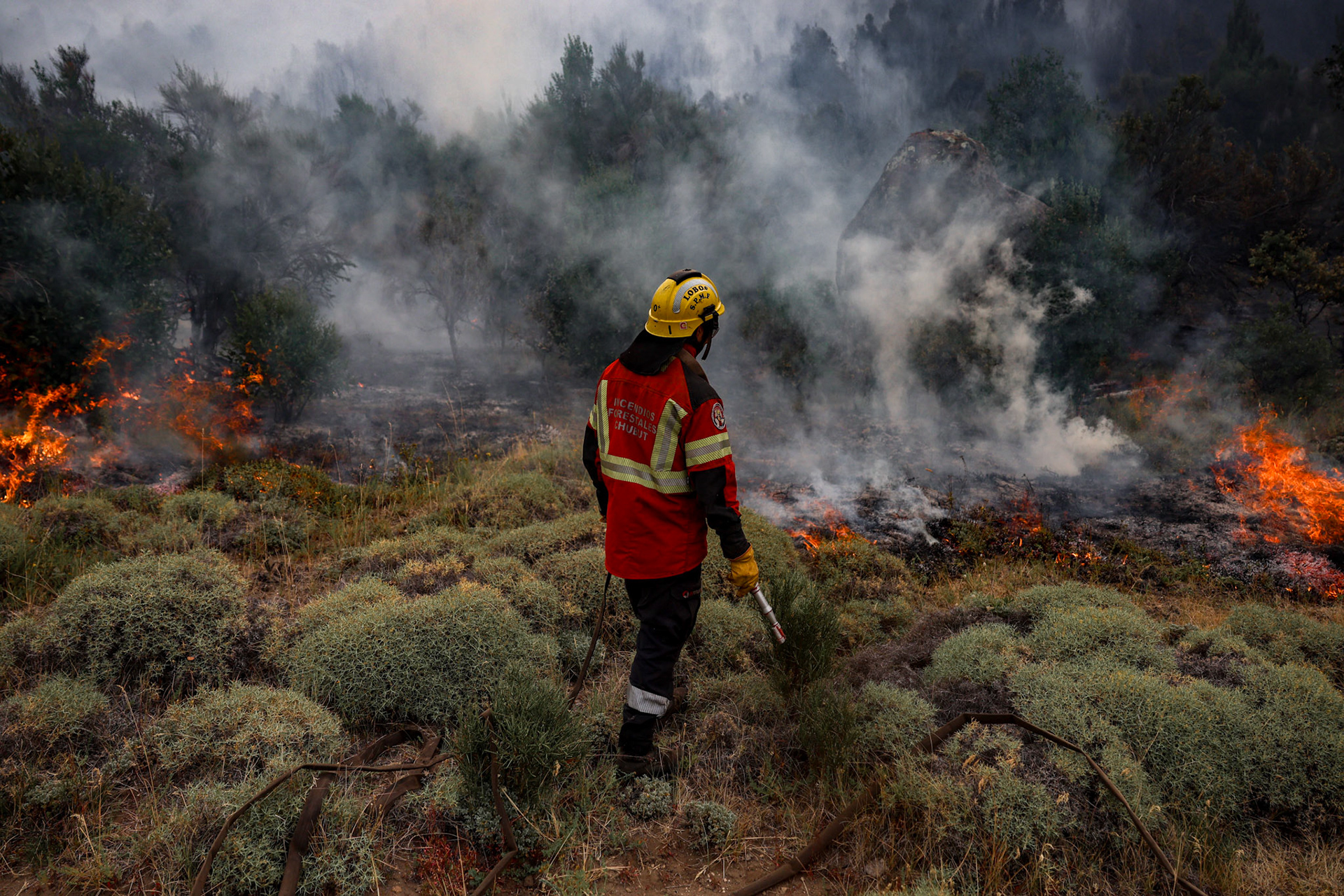 Firefighters and emergency brigades work to contain wildfires in Patagonia | Río Negro, 2026.