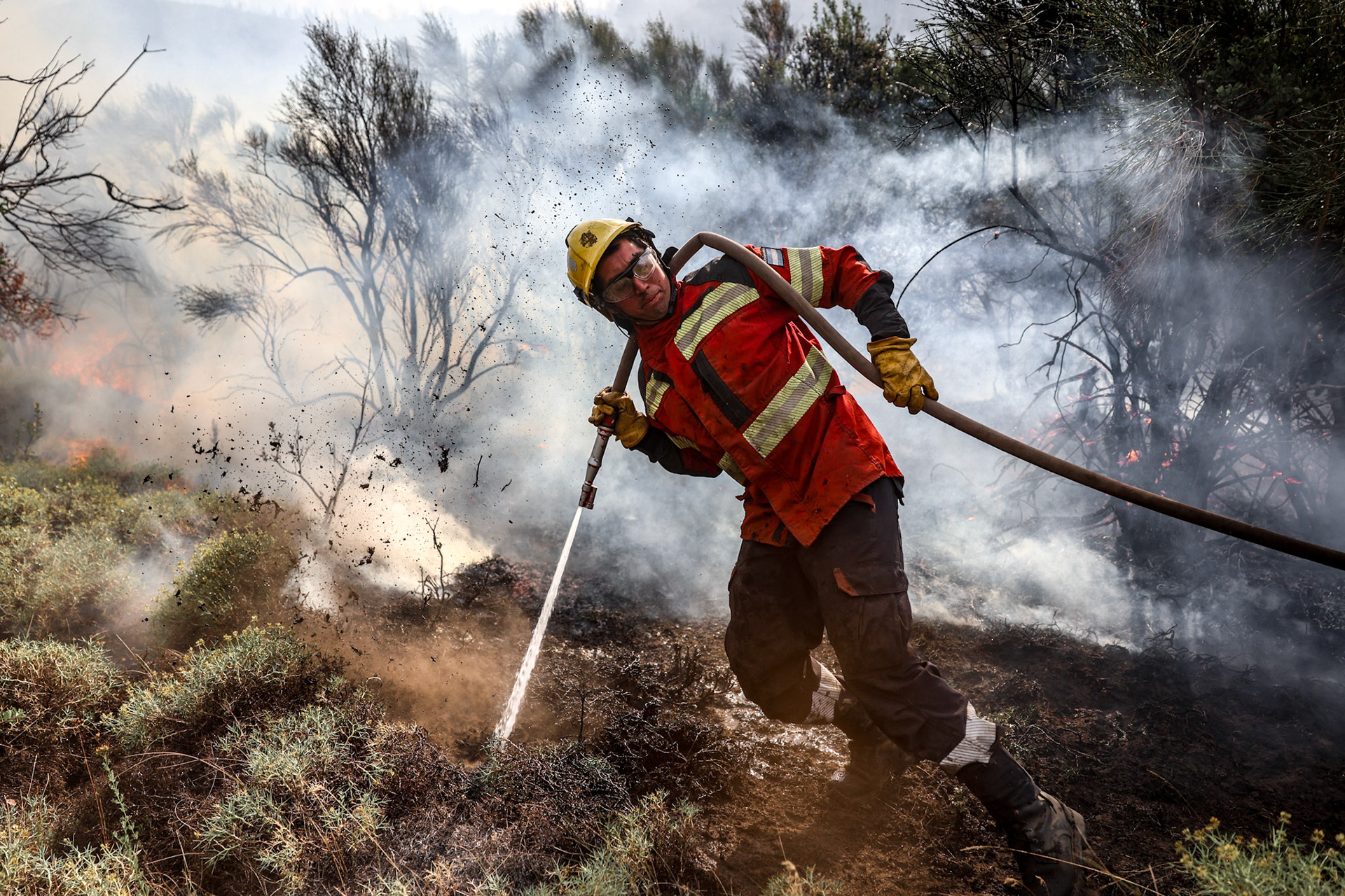 Firefighters and emergency brigades work to contain wildfires in Patagonia | Río Negro, 2026.