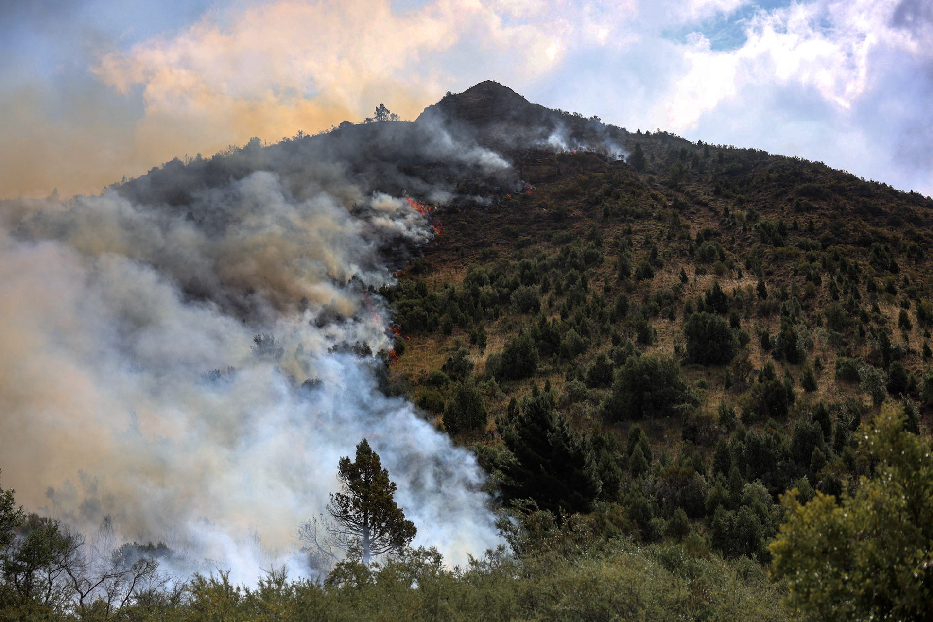 Firefighters and emergency brigades work to contain wildfires in Patagonia | Río Negro, 2026.