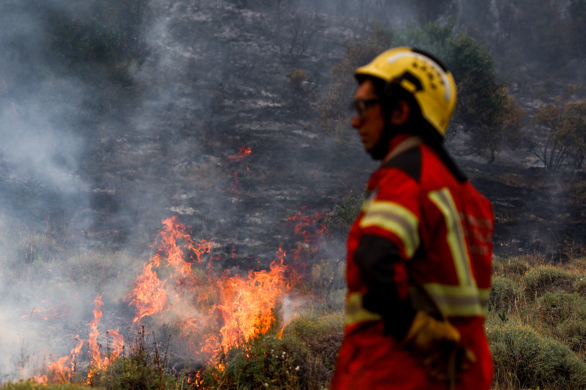 Firefighters and emergency brigades work to contain wildfires in Patagonia | Río Negro, 2026.