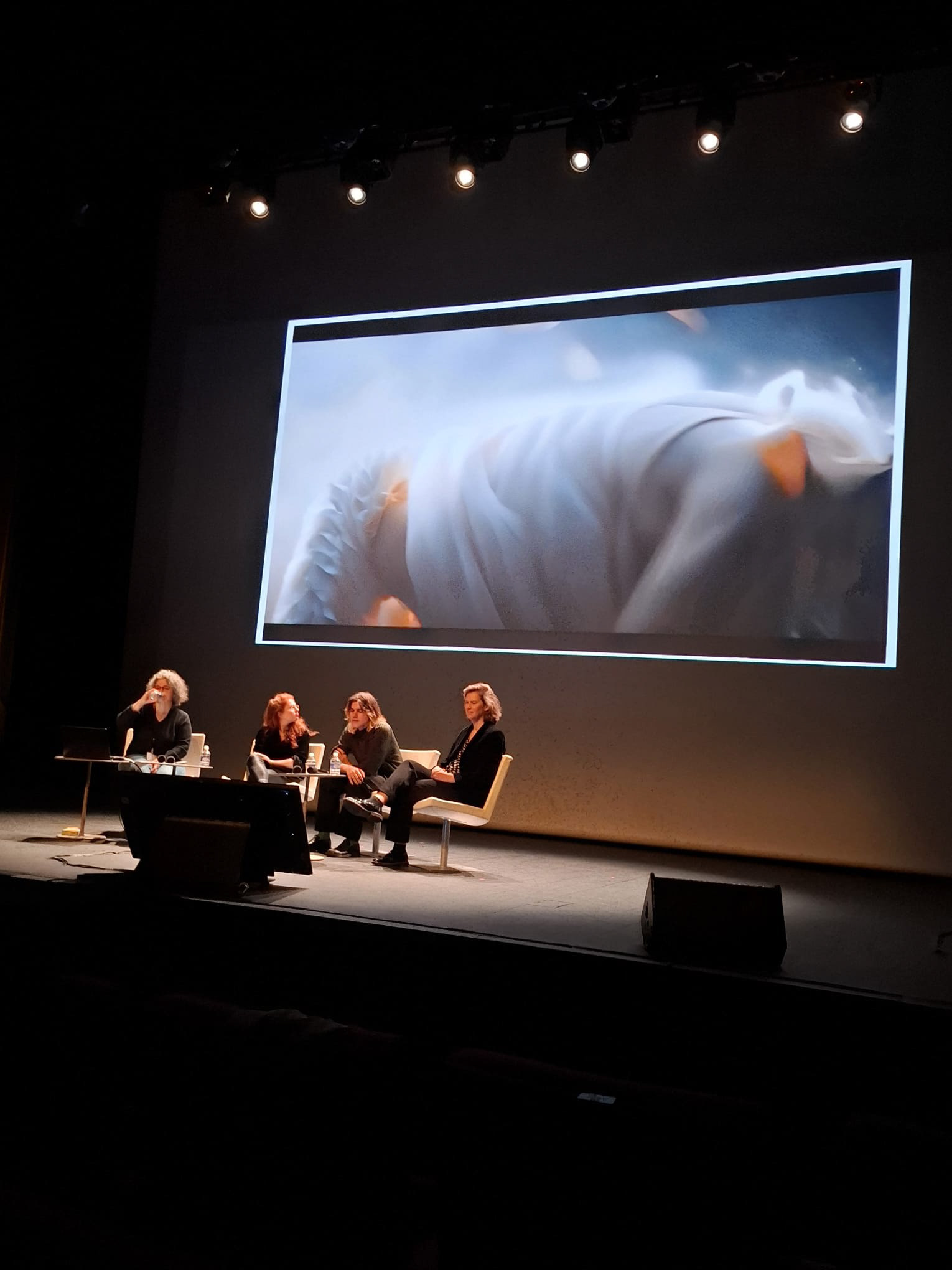 Je n'AI jamais rencontré quelqu'un comme toi. Table ronde avec Isabelle Gaudefroy, directrice du Fresnoy – Studio national, Ella Altman, réalisatrice et performeuse, et Harold Lechien, artiste  Modération : Julie Guillaumot, cheffe du service Vidéo, BnF