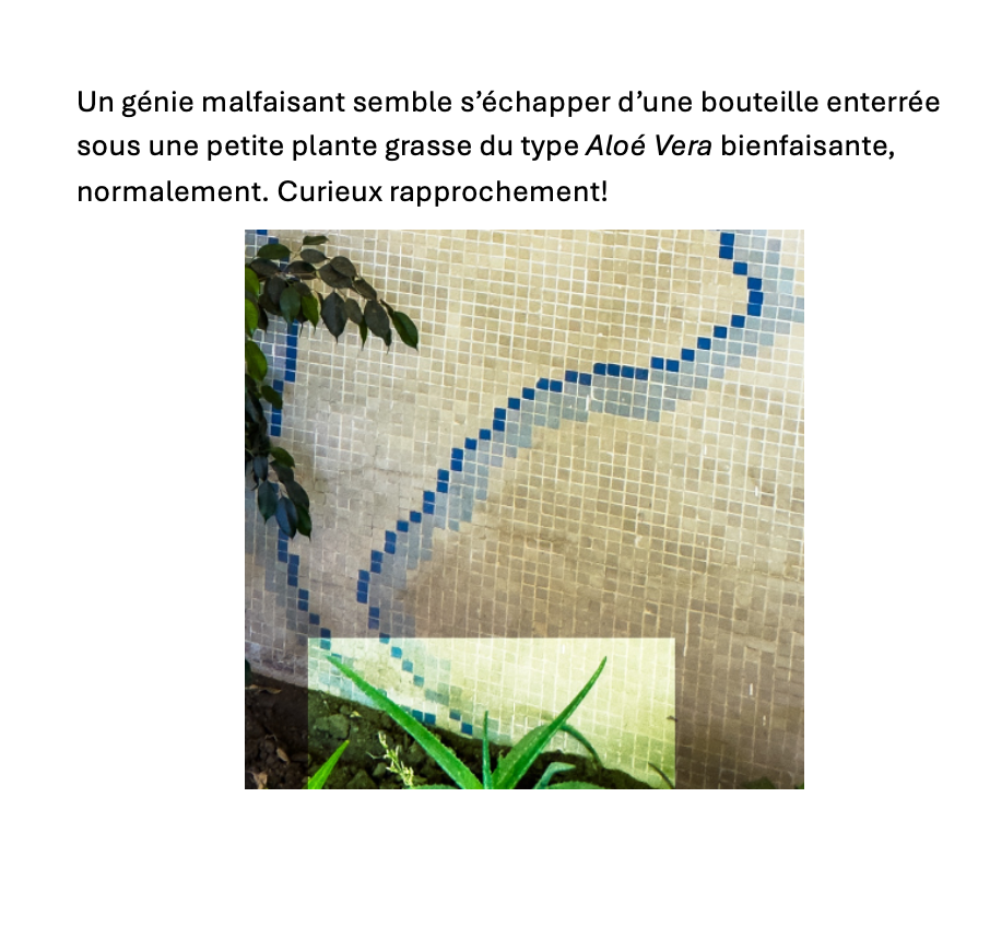 Curieux Rapprochement!