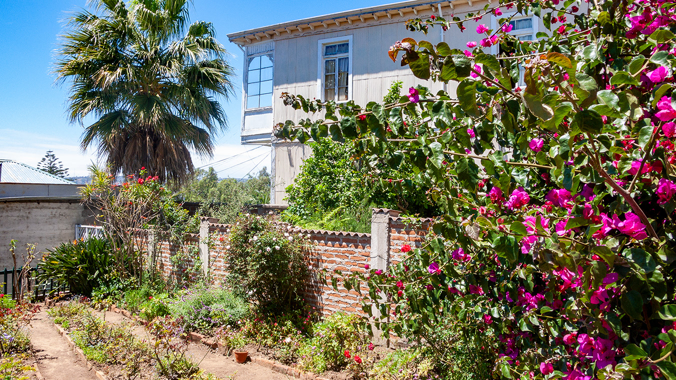 Jardin de tous les délices