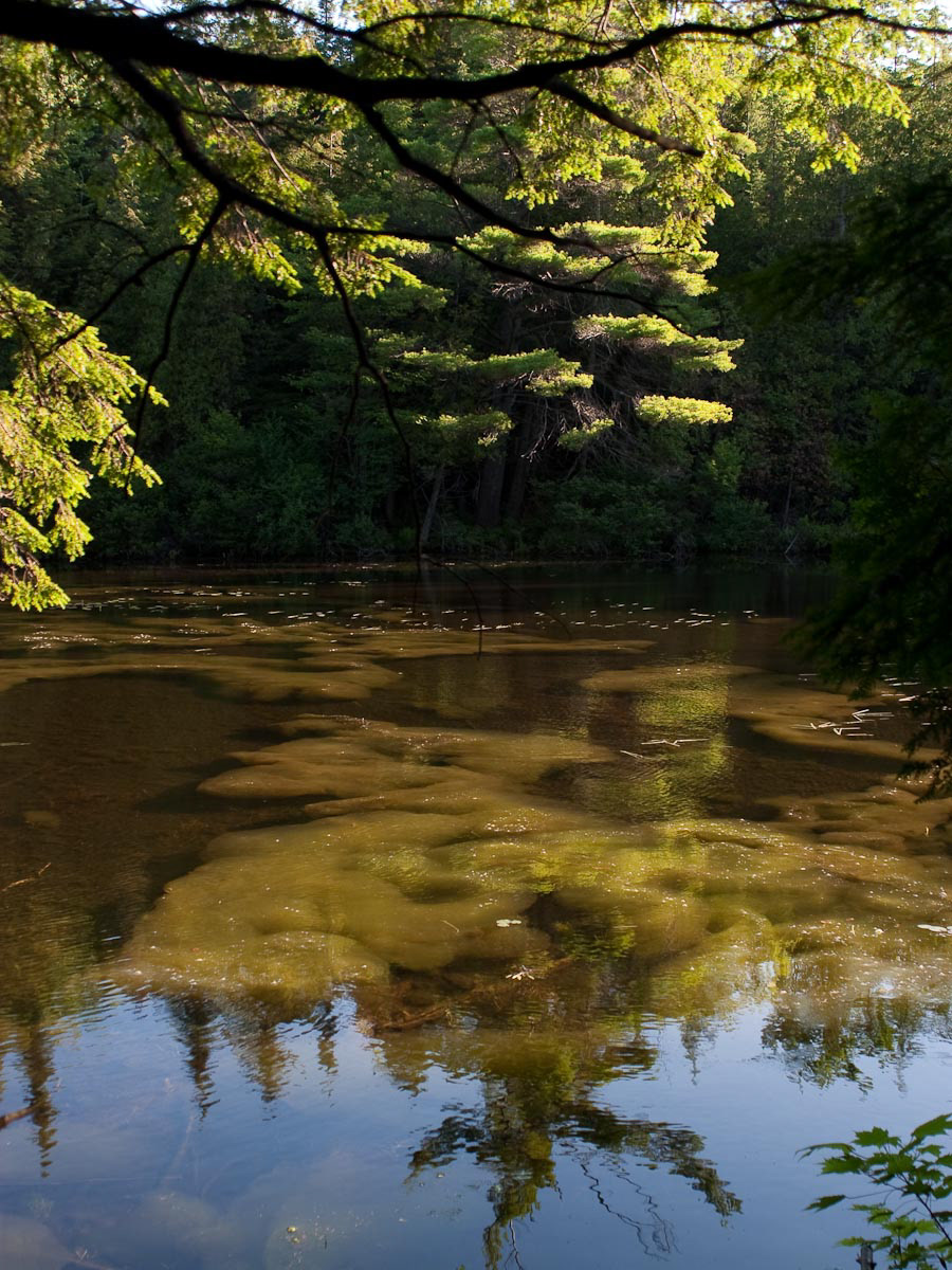 84 – Lac Cornu – Laurentides