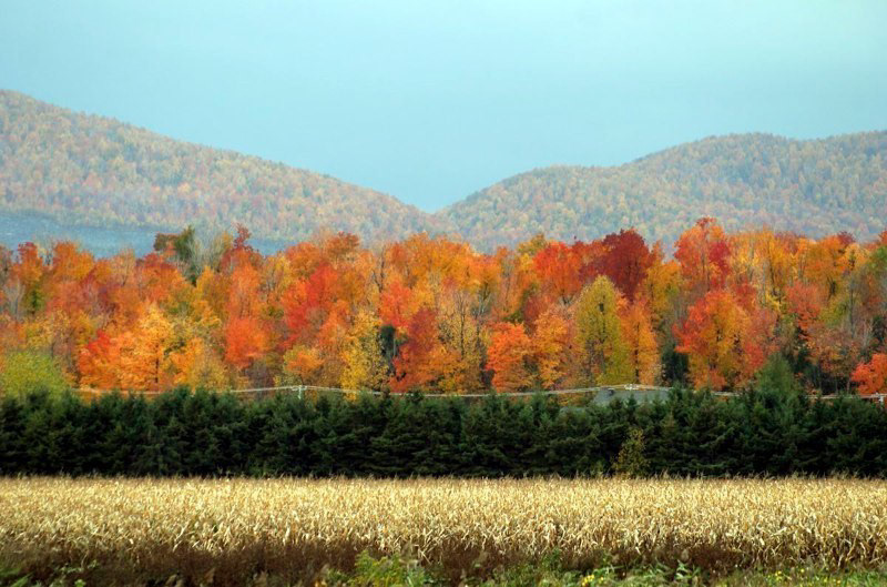 Automne – Strates de couleurs dans la plaine du Saint-Laurent. Le mont Saint-Hilaire près de Montréal par un bel après-midi d’automne. Cette très vieille région géologique nous présente ses couleurs.