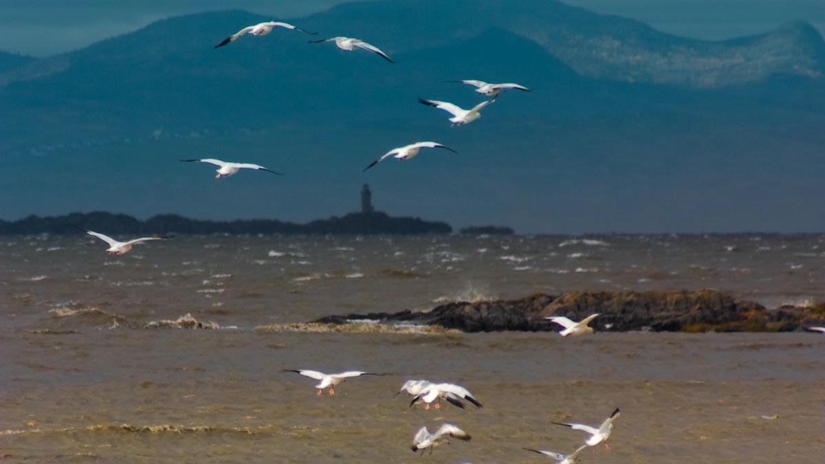 126 – L'Islet-sur-mer – Québec