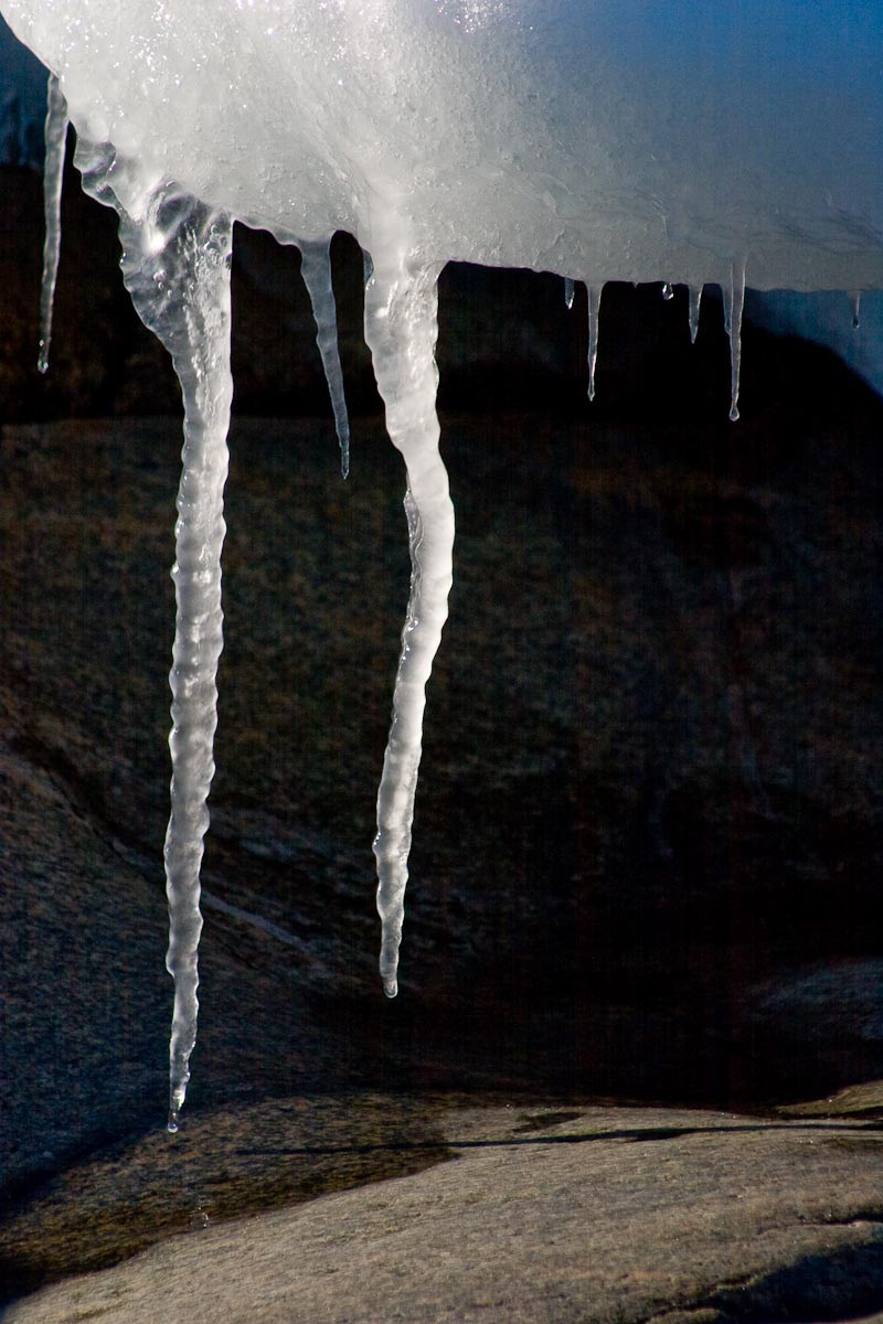 11 – Les Escoumins – Côte-Nord