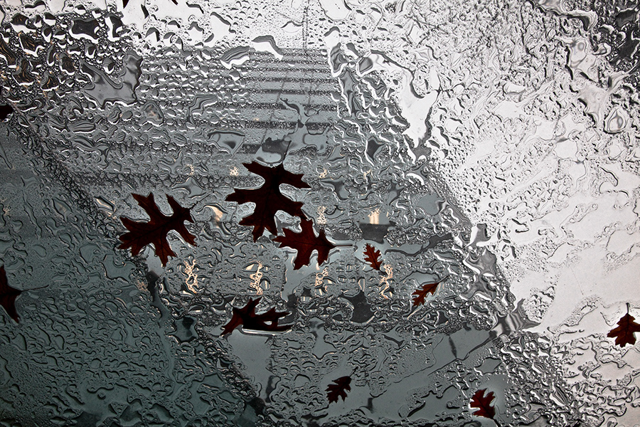 02-Automne à Vancouver II (YVR)