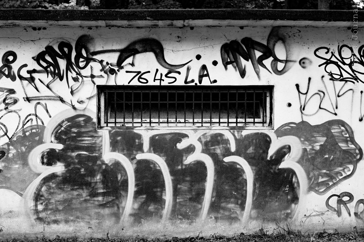 29