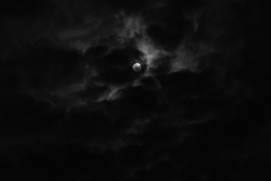 53