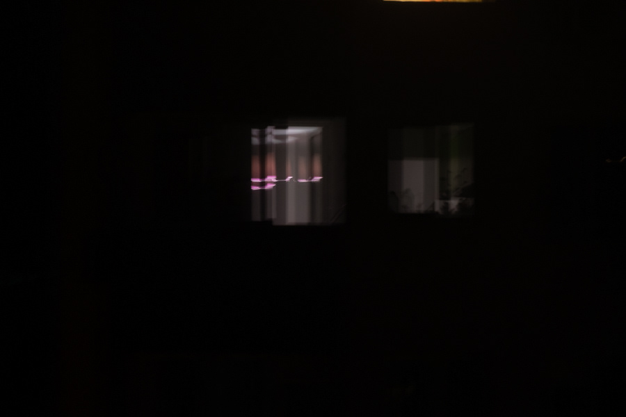 29
