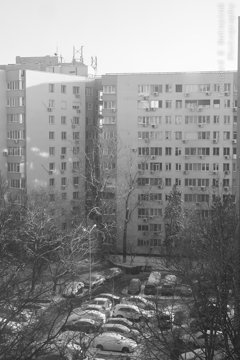 2026 January 7