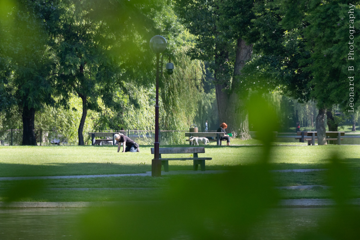 88