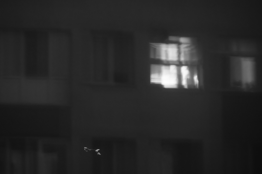 AVBW - 1
