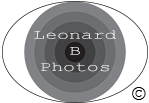 LEONARD BUTUSINA