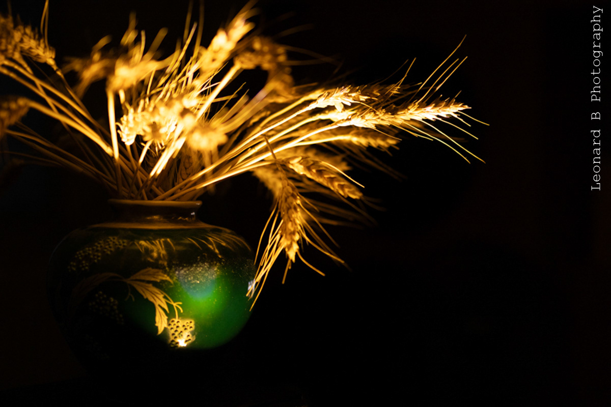 55