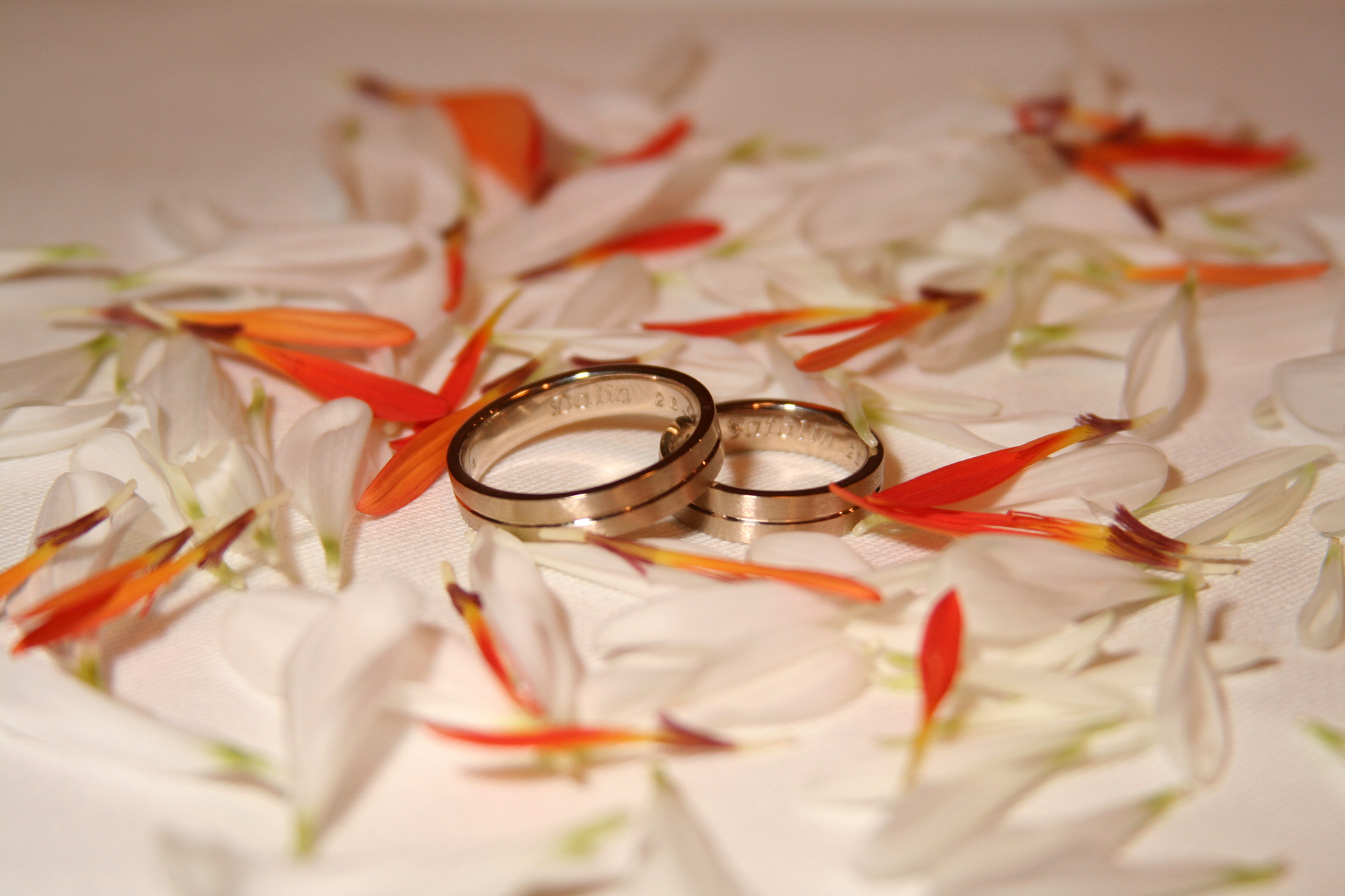 Dalia & Catalin 7
