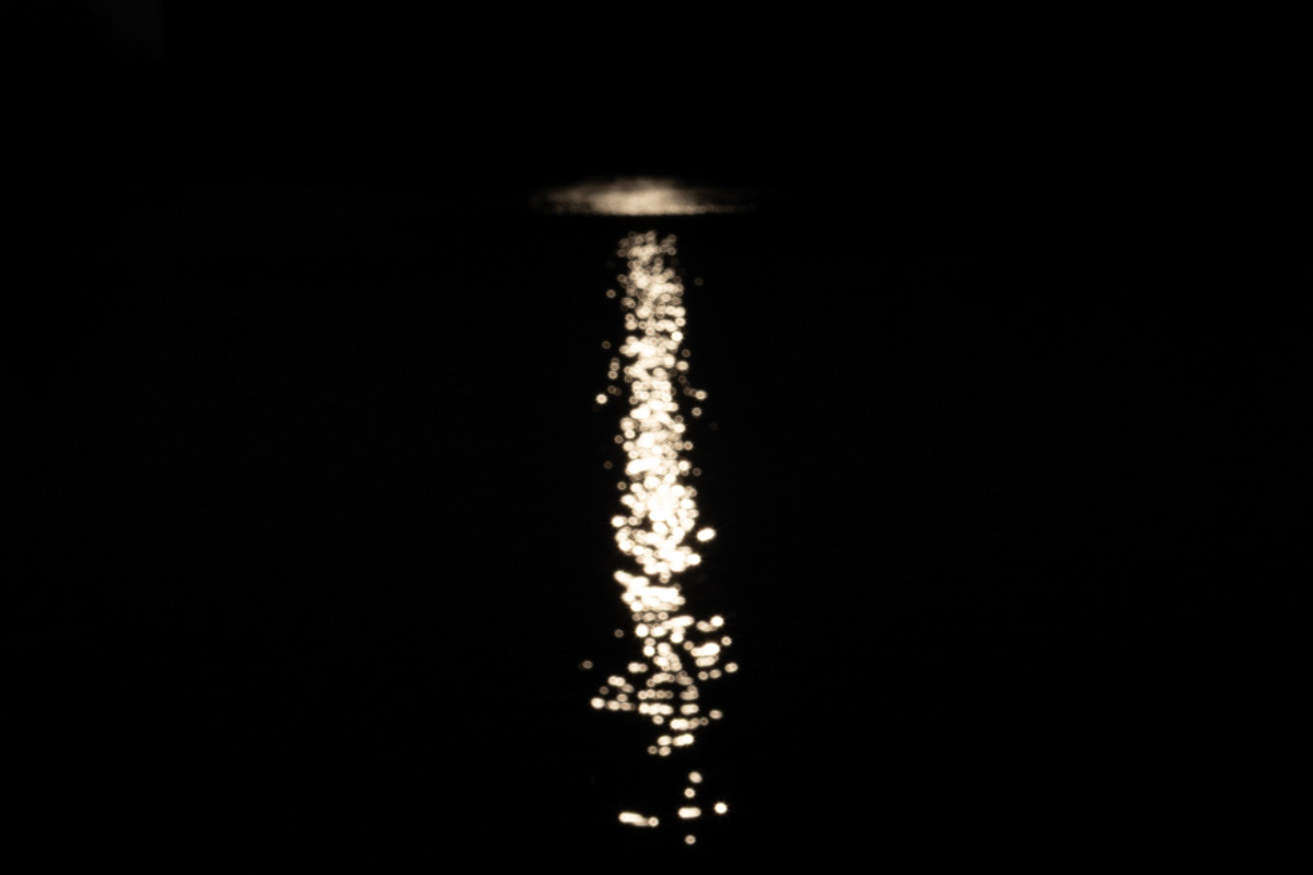 Silence 2