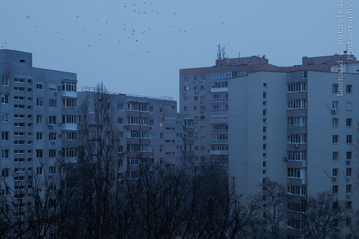2026 January 14