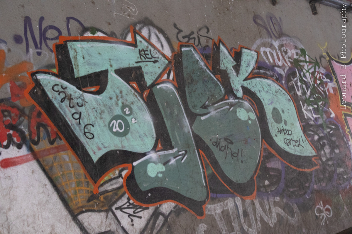 51