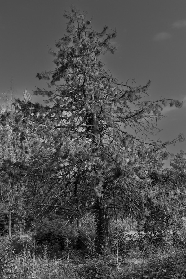 AAMBW - 11