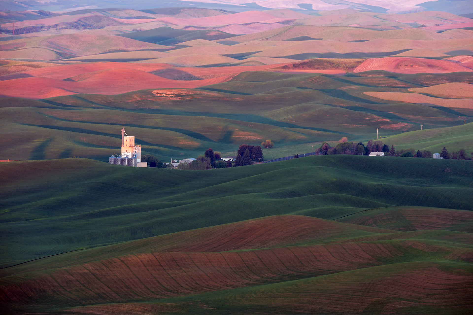 Another often shot composition from atop Steptoe Butte in the Palouse region of Eastern Washington State. I thought I would post this sunrise version of a similar composition (taken the day before at sunset) that I posted few ago) so that those interested can  get an idea of the light variation.  Thank you for viewing, voting and/or any constructive comments!