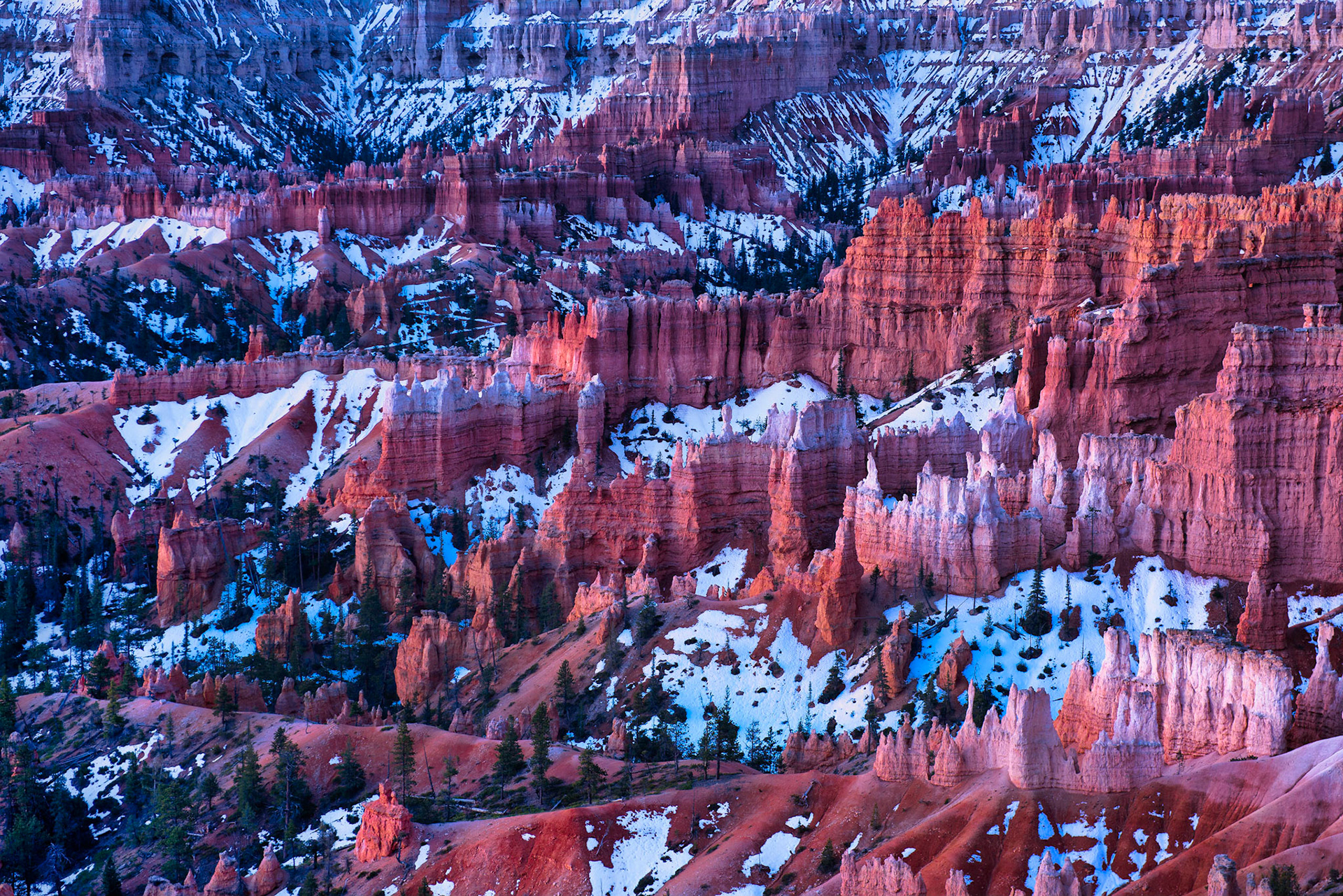 Amazing very early dawn/twilight/sunrise light, shadows and glow from overlook at Bryce Canyon National Park....one beautiful morning!            Thank you for viewing, voting and/or for any constructive comments!