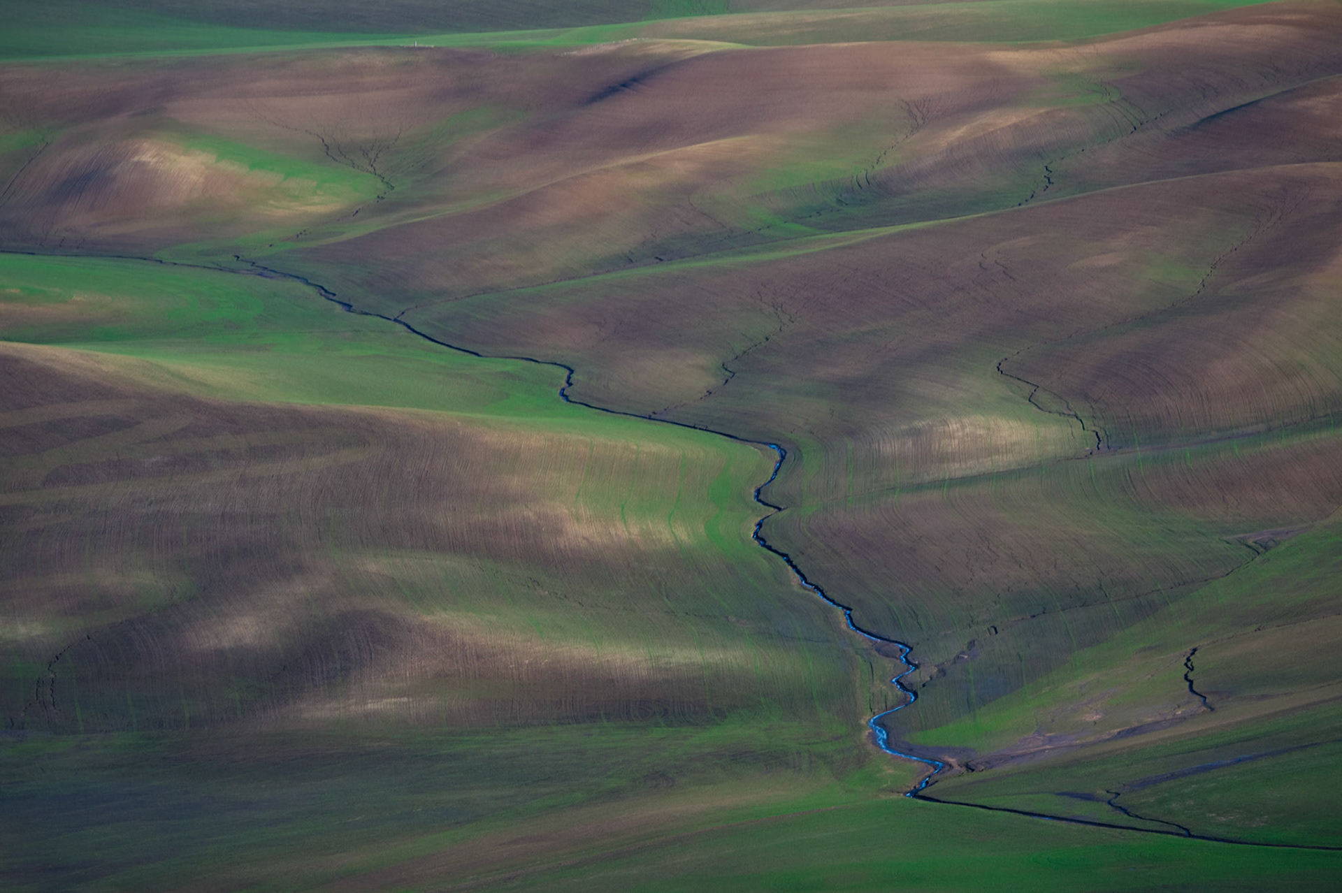 This is a shot of the rolling wheat fields of the Palouse taken from the top of Steptoe Butte in Eastern Washington State.   I thought that this early spring perspective (beginning of the growing season) made for some interesting textures and view of the water canals winding through the farmlands!   Thank you for viewing, voting and/or any constructive comments.      Enhance your view by pressing "H" and then "M".
