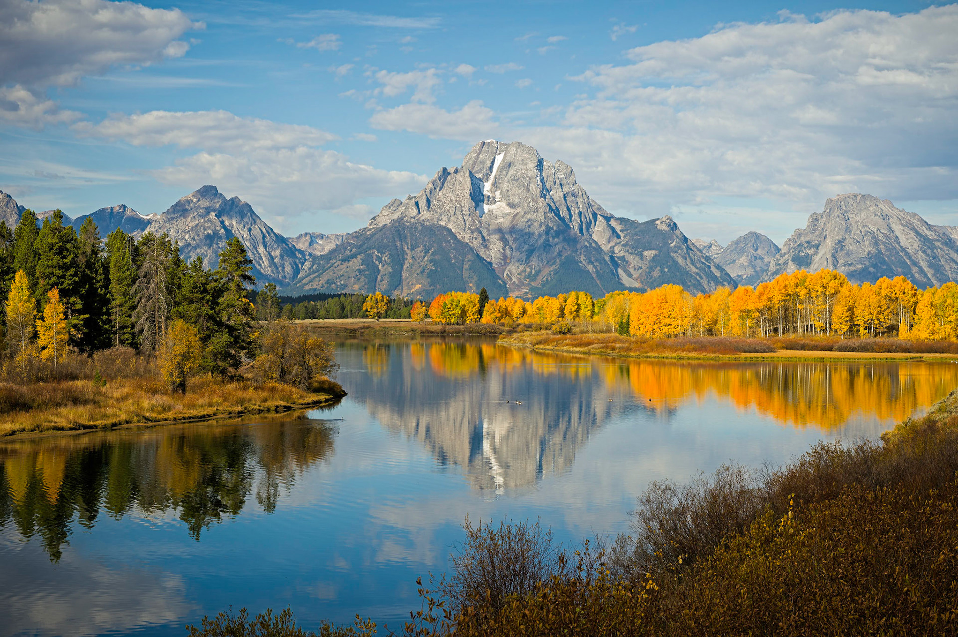 Just back from a quick roadtrip to Yellowstone and the Grand Tetons... my first visit to both! As you can see we were able to catch some of the fall colors and even had some nice clouds. Amazing places, can't wait to get back there when I can spend a little more time exploring. Hope you enjoy!    Thank you for viewing, voting and/or any constructive comments.