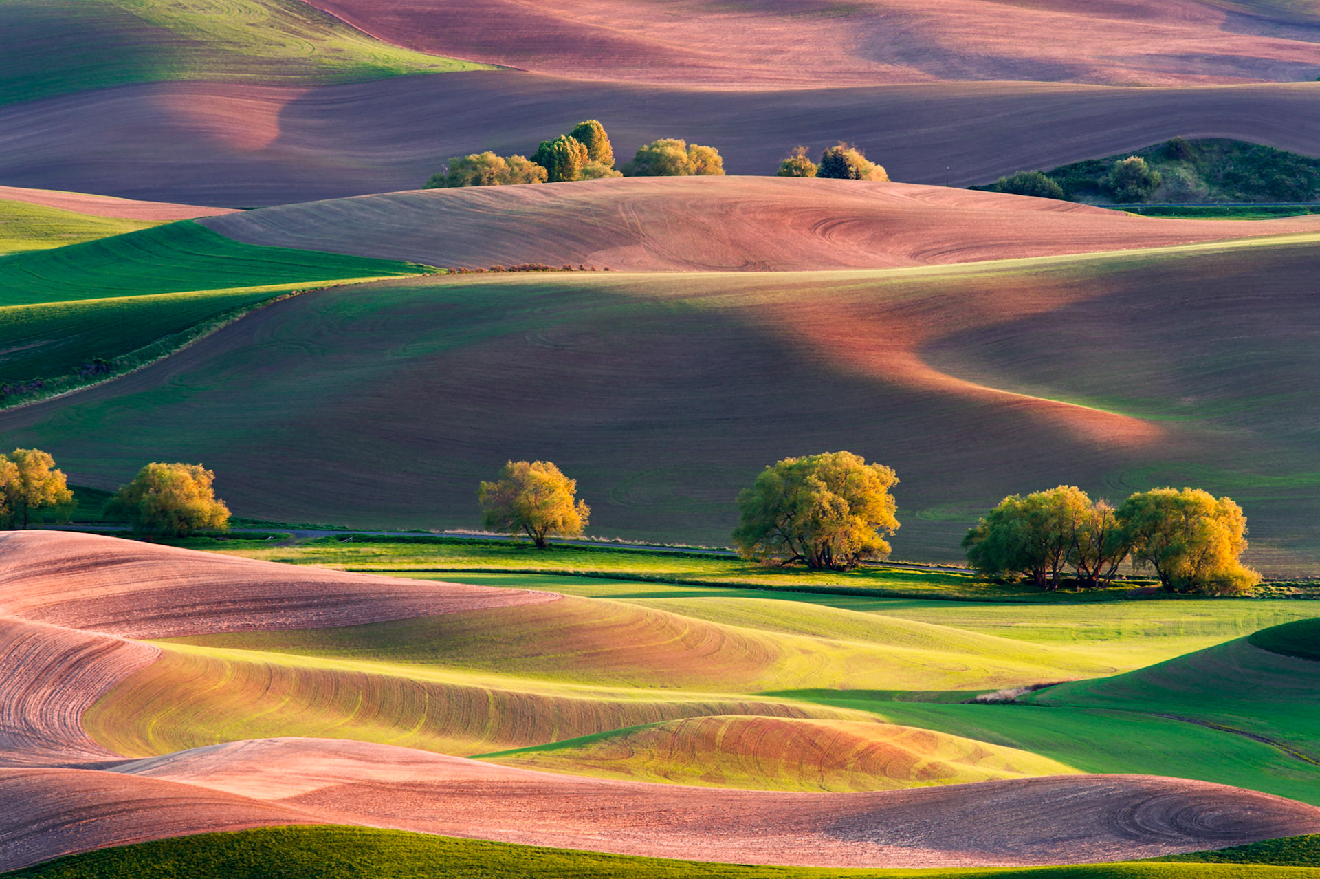 My first take on another classic spring sunset composition from Steptoe Butte located in the Palouse region of Eastern Washington state. I really liked the compression effect resulting from the long lens, hopefully you will to!     Thank you for viewing, voting and/or any constructive comments.