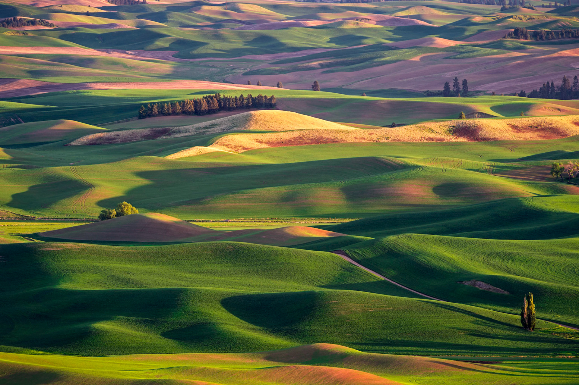 Another from the Steptoe Butte / Palouse collection from last spring. The wide variety of  compressed landscape compositions and shadow / light play conditions always makes this place a treat to visit and to photograph!    Thank you for visiting, voting and for any constructive comments!
