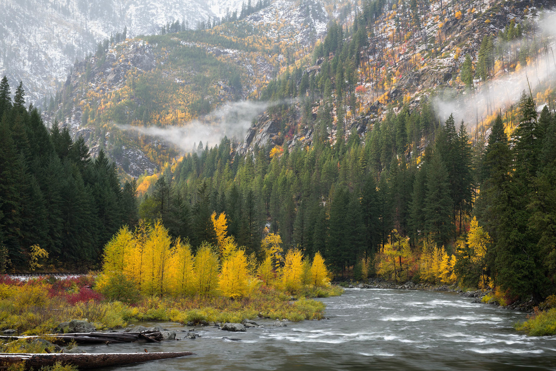 Autumn Snow - Autumn Glow