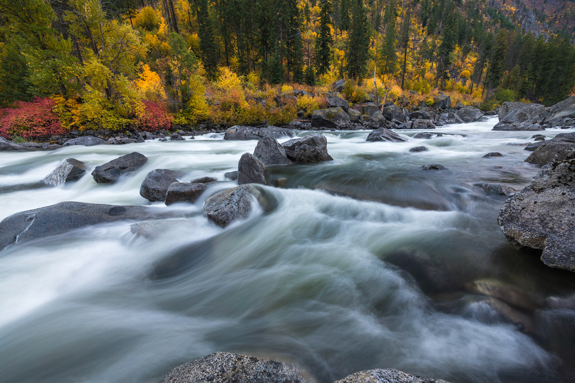 I decided to try a photography workshop this fall with Aaron Reed Photography http://www.aaronreedphotography.com. The entire exoerience was great! Aaron is a seasoned pro and put on an excellent workshop all the way through! I highly recommend him and his company! Conditions in the Tumwater Canyon area mostly along Highway 2 / Wenatchee River could not have been better as well for fall color, flow and dramatic weather! Thanks to Aaron"s energetic, encouraging and creative approach  we had great fun and came away with some nice photographs! Thank you Aaron!         Thank you for viewing, voting and/or any constructive comments!