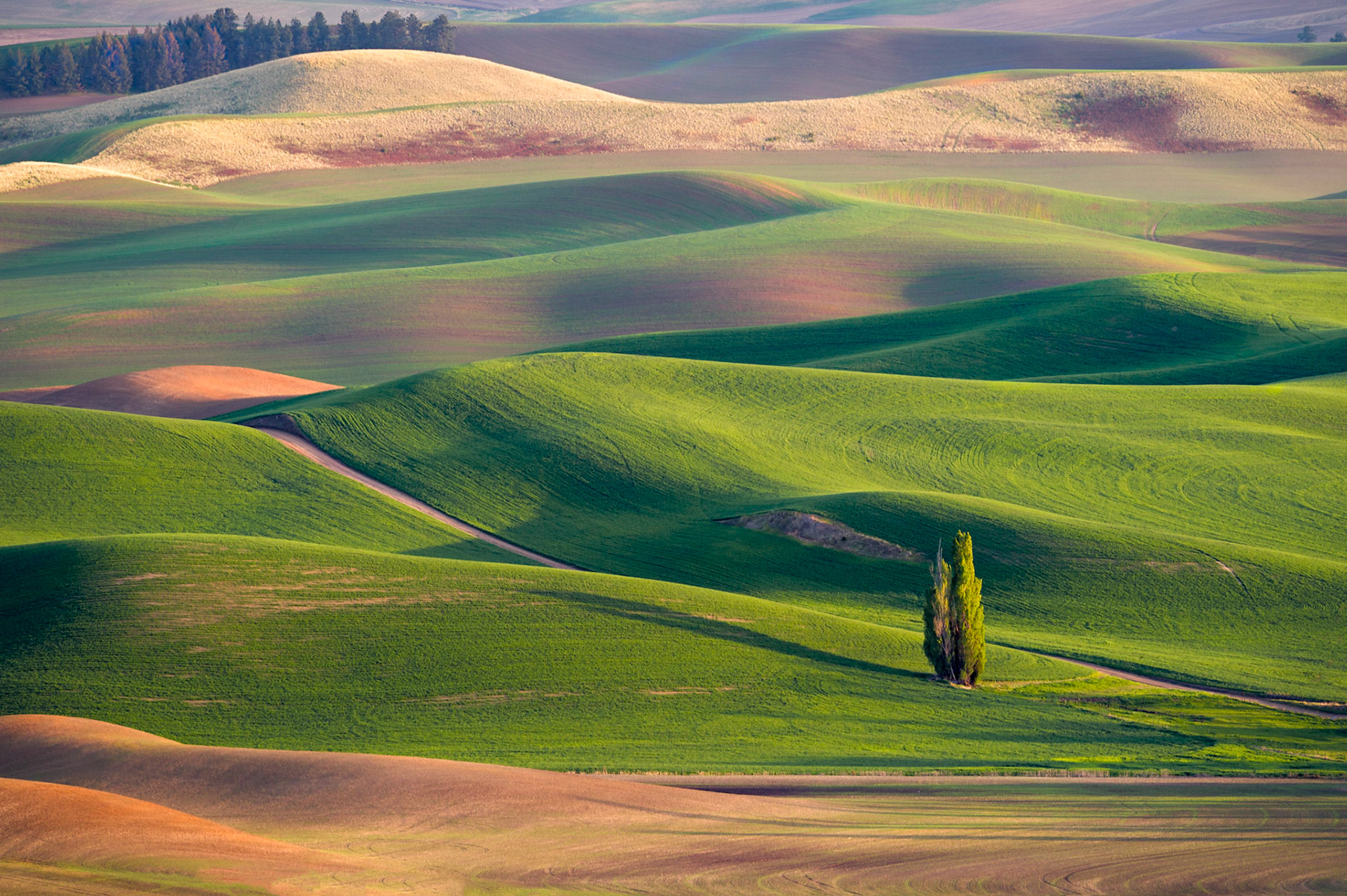 Another image  photographed from Steptoe Butte just a couple of weeks back.   Thank you for viewing. voting and/or any constructive comments!