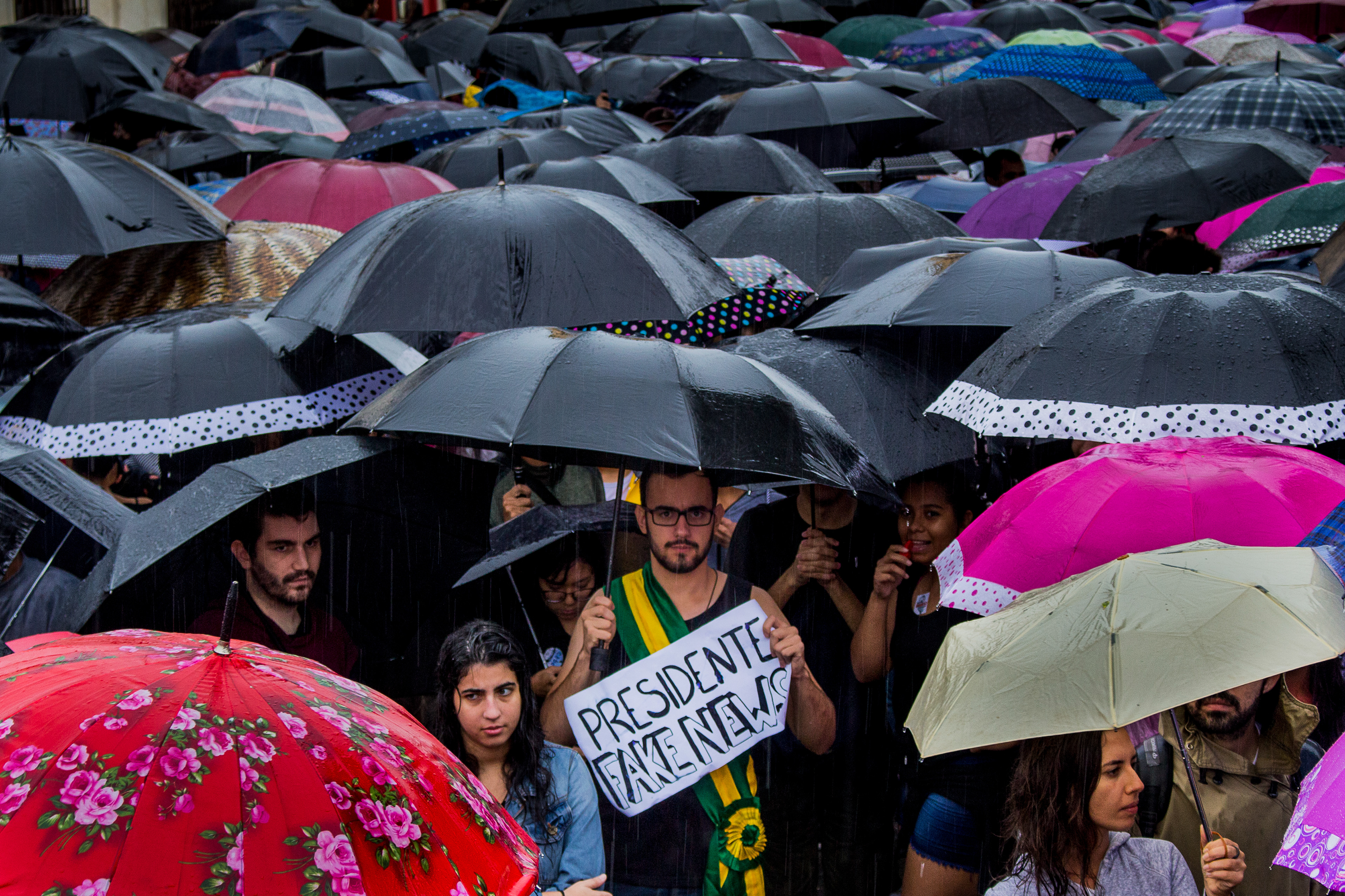 Clique na imagem para ampliar. Todos os direitos reservados. Raoni Garcia