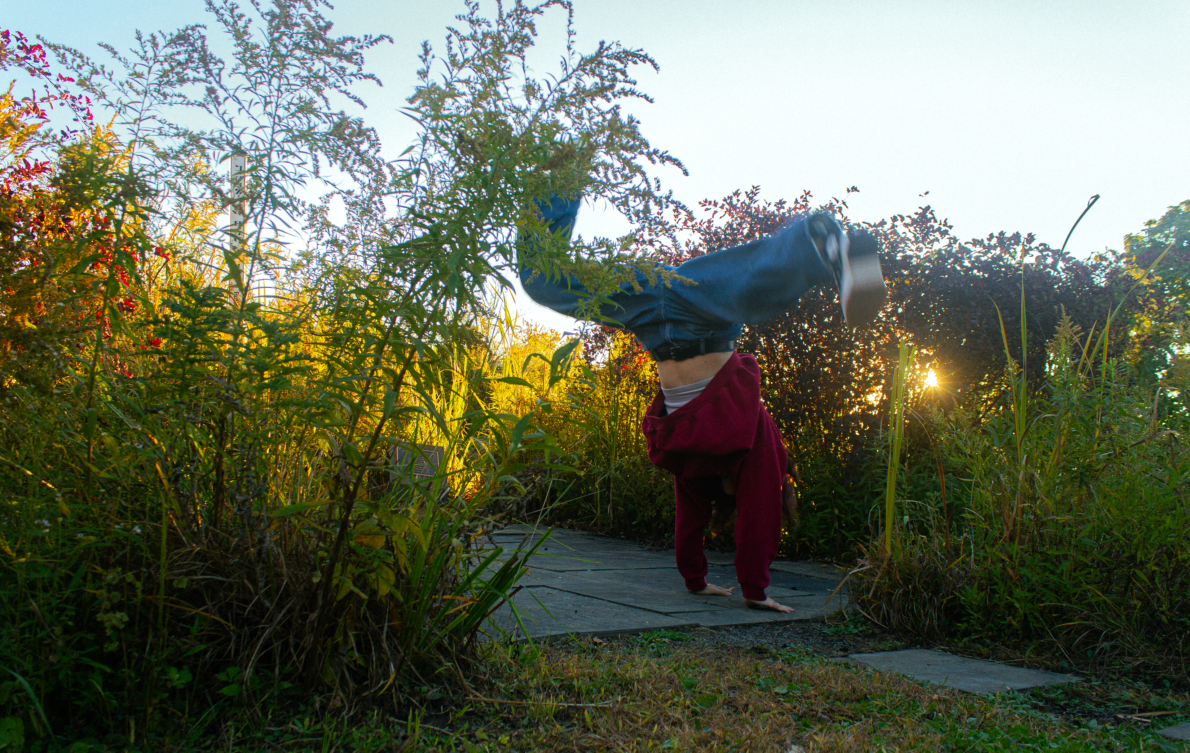 Performed Self, 2025