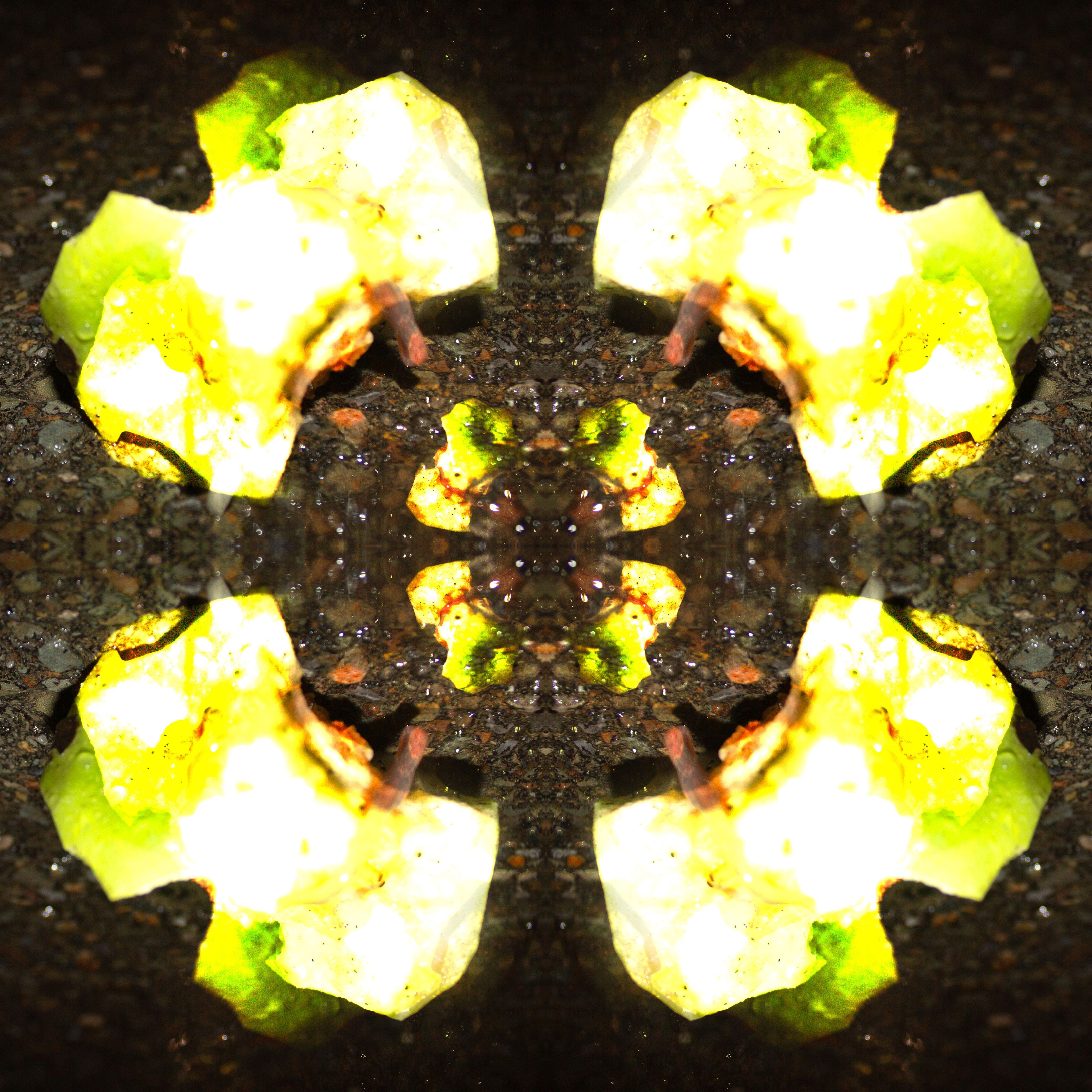 Fabrication & Simulation, 2025