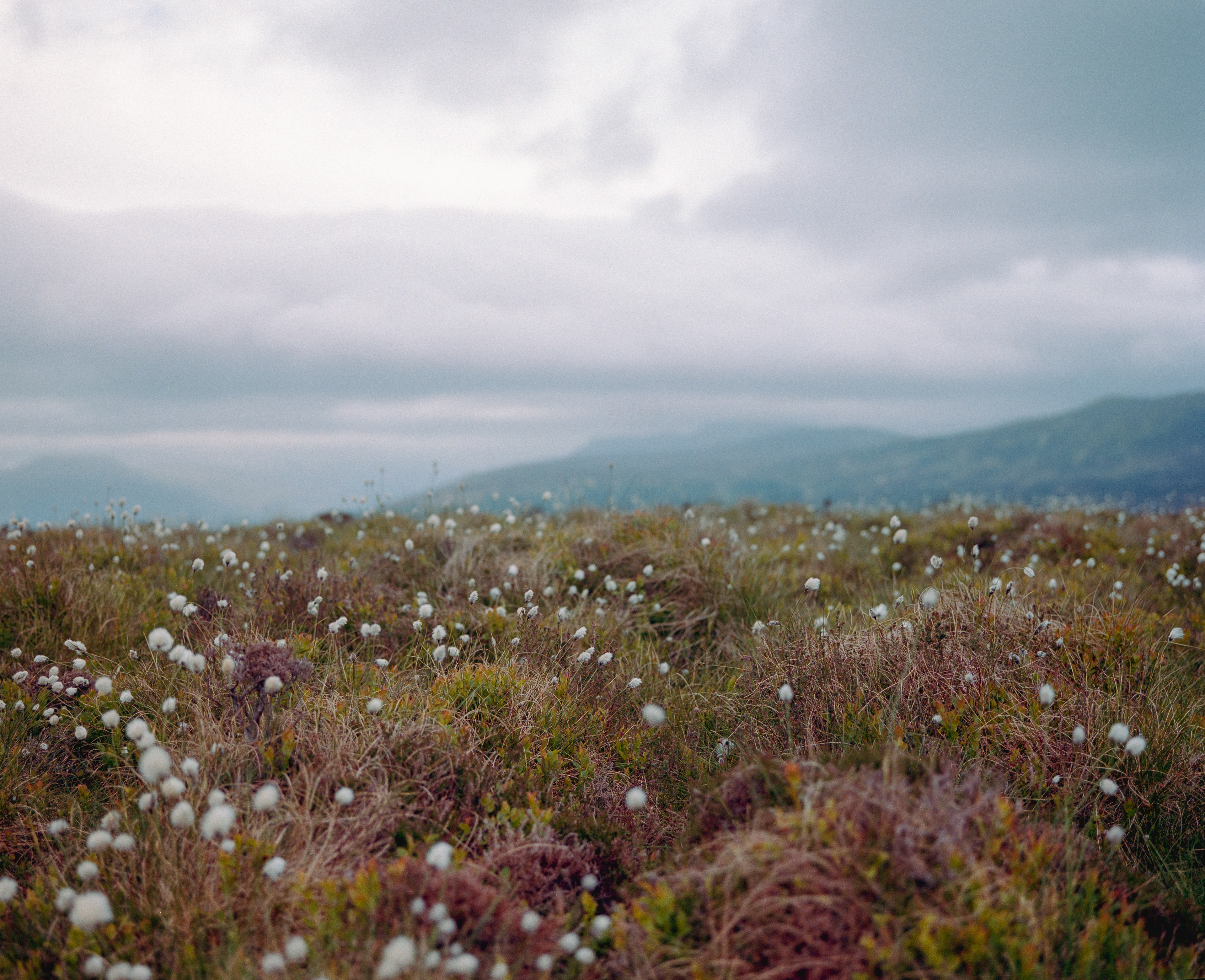 Conic Hill