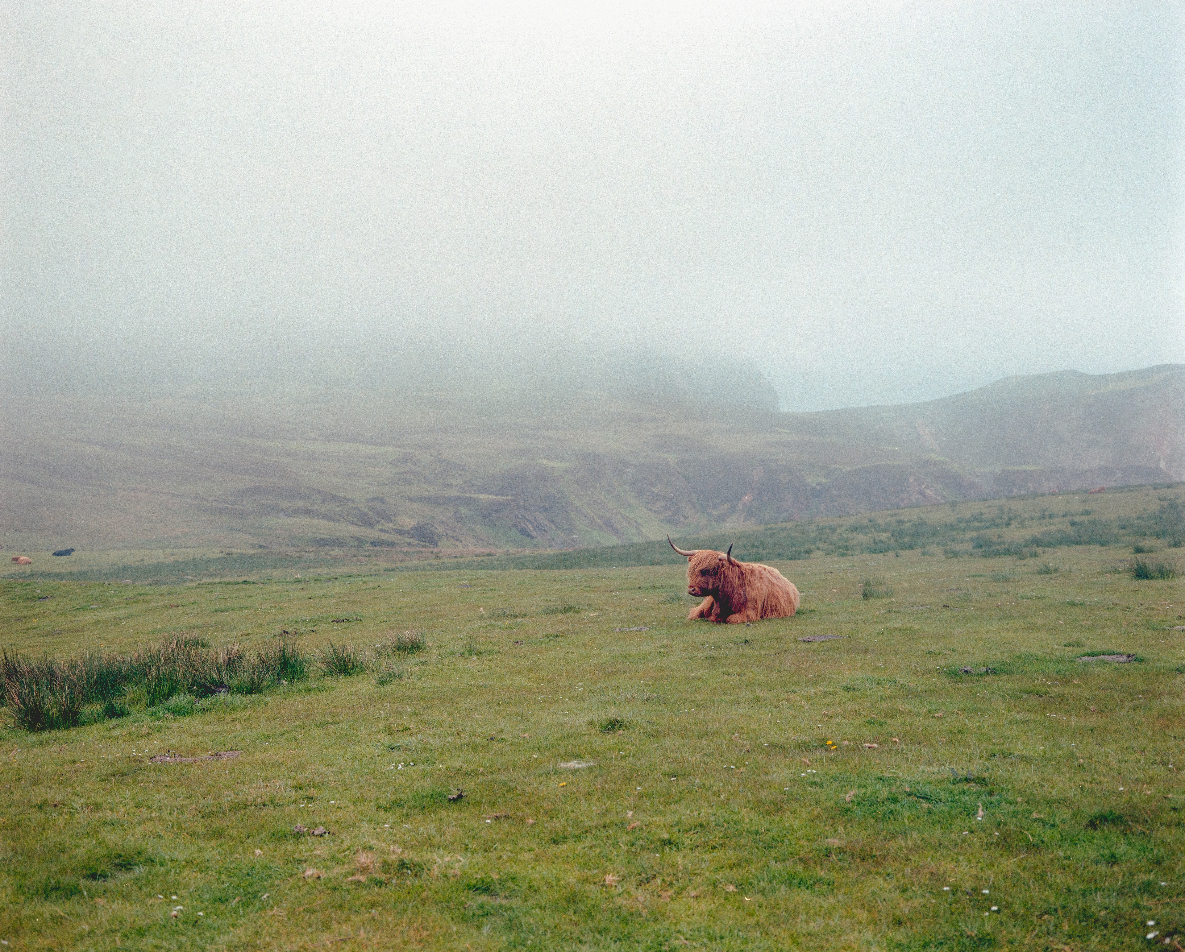 Mull of OA