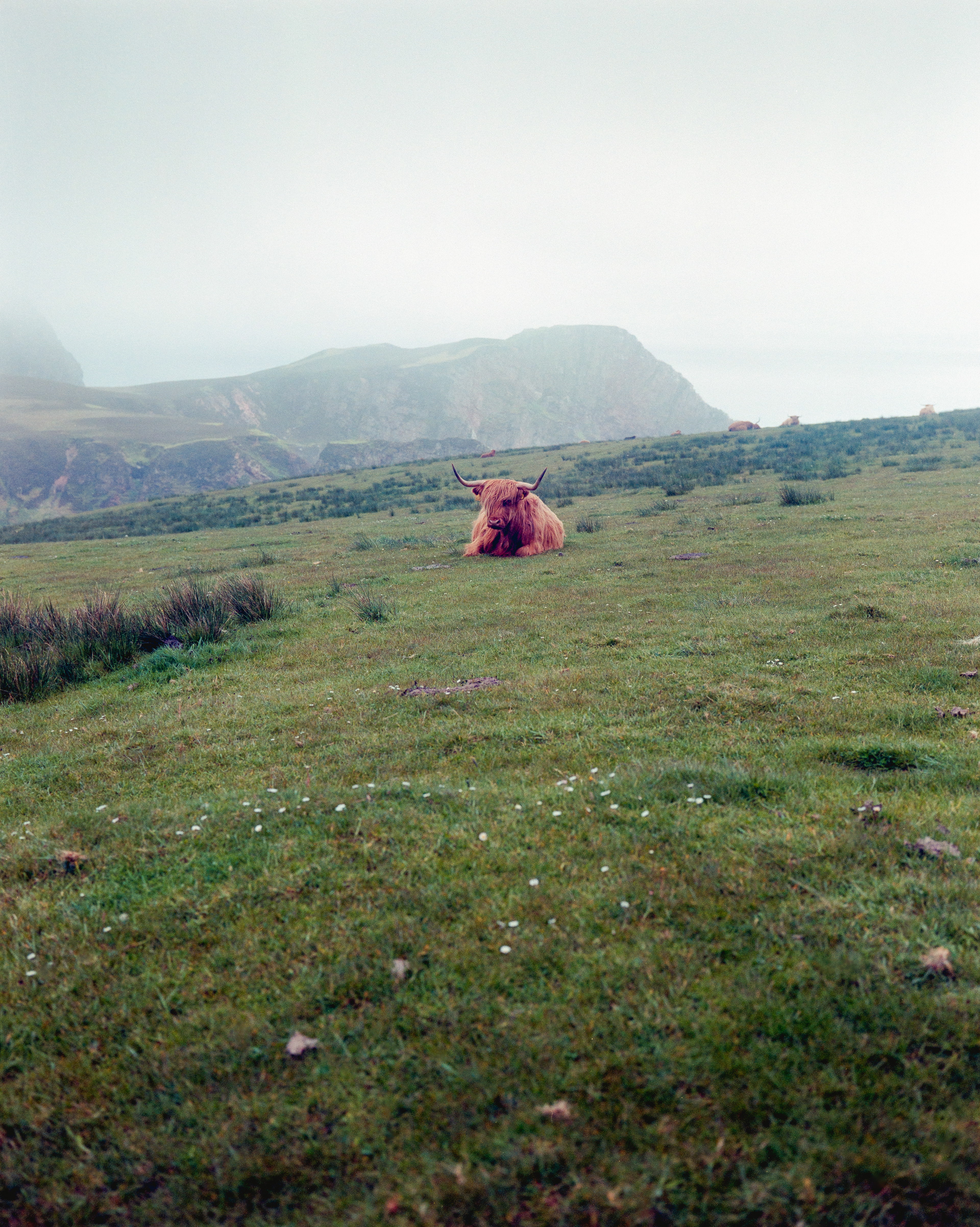 Mull of OA