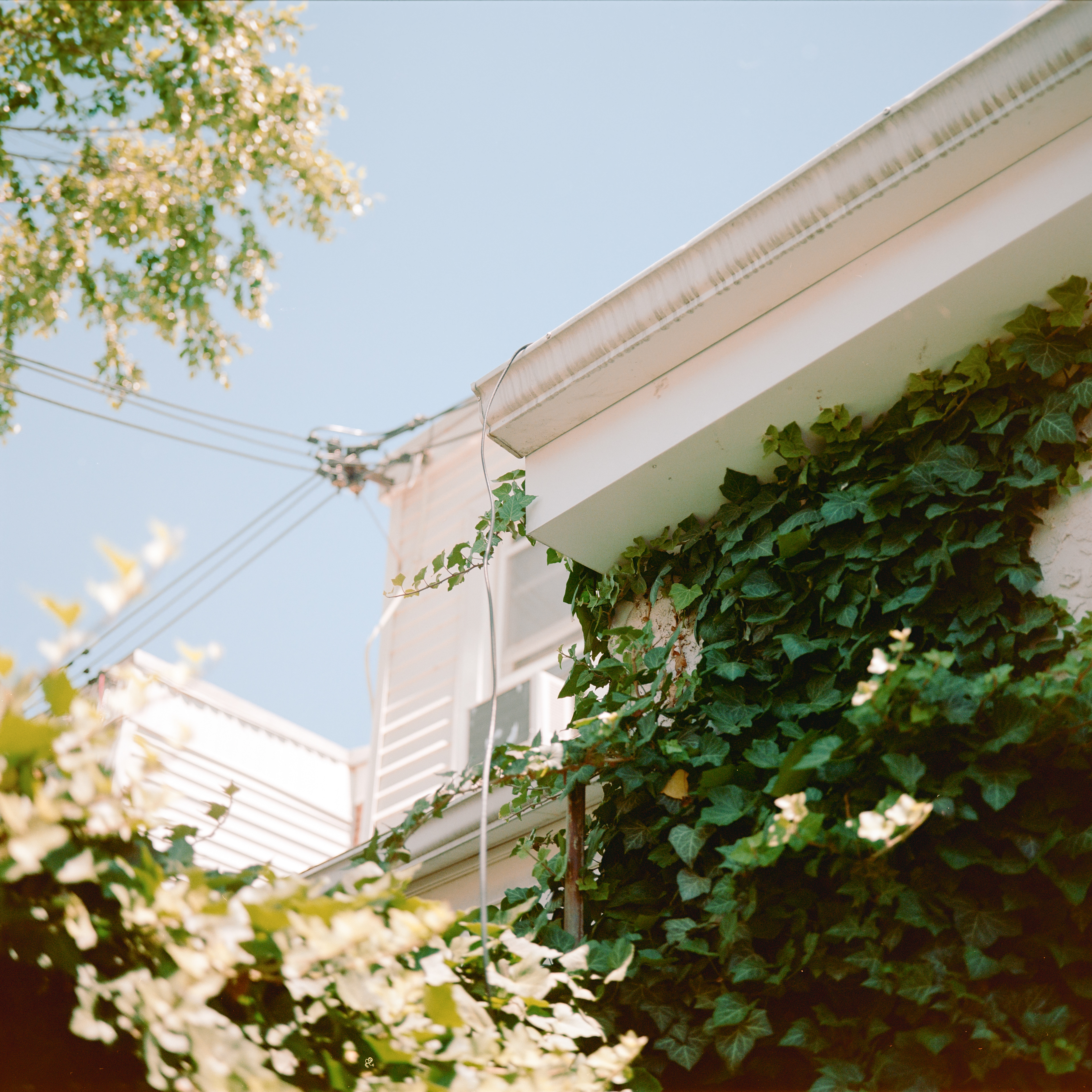 Mamiya 6, 75mm f3.5, Portra 160